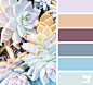 Succulents Archives | Design Seeds