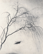 晓风残月
作者：郎静山
创作年代：1945
规格：30.4×25.2cm
品类：摄影
