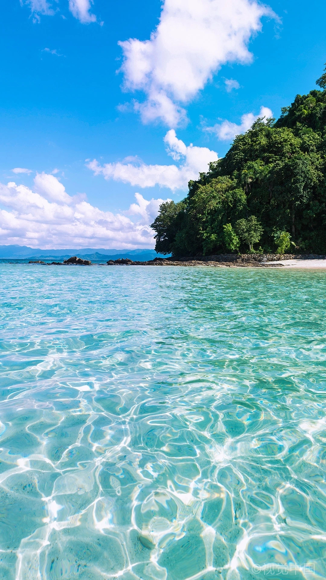 4ef16711eed1bf7850261f7e42ee47a251b66800175f5a-Tt6GjT