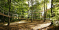 a path in the forest photo by reio avaste 03 « Landscape Architecture Works | Landezine Landscape Architecture Works | Landezine