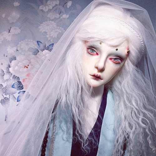 bjd｜LOFTER（乐乎） - 每个人...