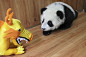 A panda cub looks at a toy dragon