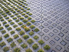 清风雨时采集到建筑   ·  庭院