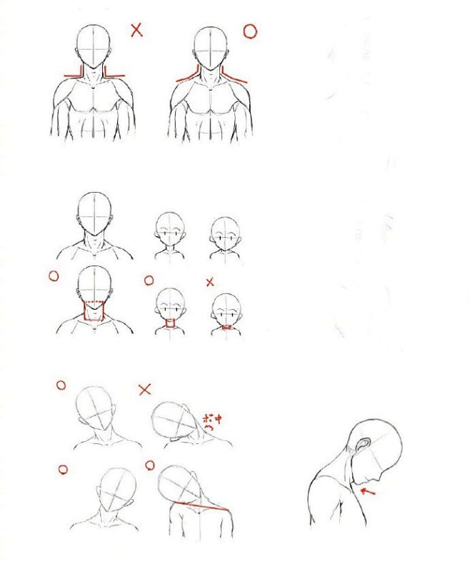 一些关于头部及脖子的角度绘画参考，麻竹练...
