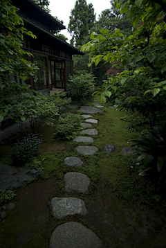 老花样采集到院子