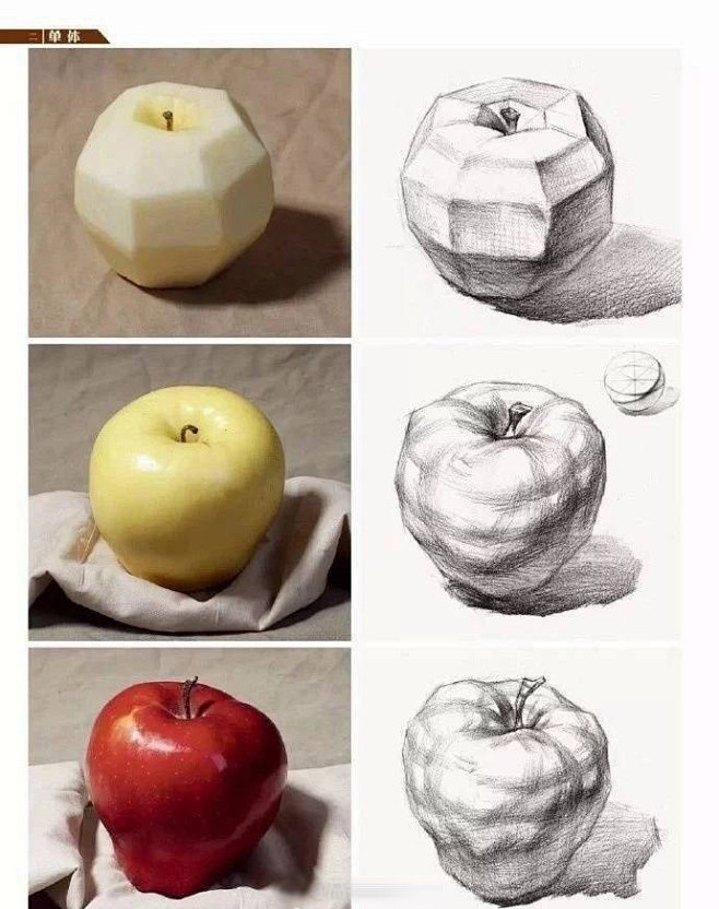 苹果是画素描静物基础的物体，重要的是把圆...