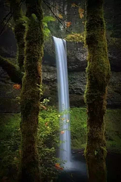 亮刚祺采集到唯美风景