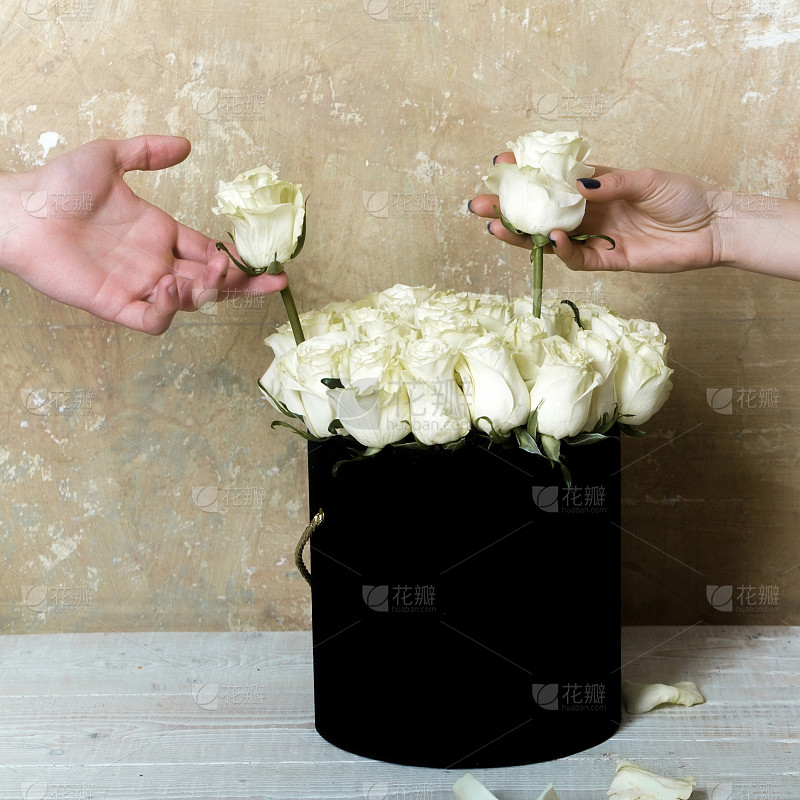 4f7eb2f96e8e9668ae7dd3c17b8cb3944729f13a2daaf-vesnZf
