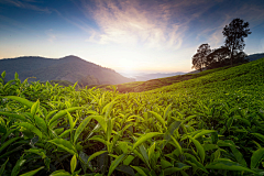 帅YU俊の结合采集到素材——风景