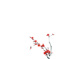 《 花瓣 穗子 伞 帘 梅花 猫 瓢虫 金鱼》PNG免抠图素材 - 彼岸桃花 - .