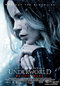 智商在线的狼人~！[2016][美国][动作][1080P超清]#黑夜传说5：血战# Underworld: Blood Wars#电影资源分享#  （分享自 @艾米电影网） O网页链接 ​​​​