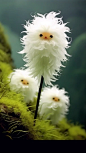 On the cliffs of the 100,000-strong mountain in Guangxi, a cat-faced orchid is blooming. The petals are white, the petals are a little fluffy, realistic, and the background is bright. Macro photography, the flowers are bright and bright, and the Lycra len