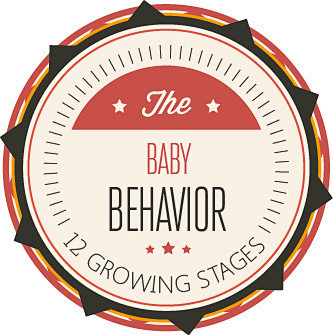 [The Baby Behaviours...