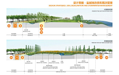 大不溜王采集到LA-海绵城市设计