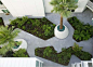 555 4th Street The Palms designed by CMG Landscape Architecture