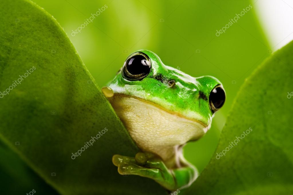 4fb33b75dbdf5738bfcf97018b0cd2bd6f1a5edde40e-puidJ1