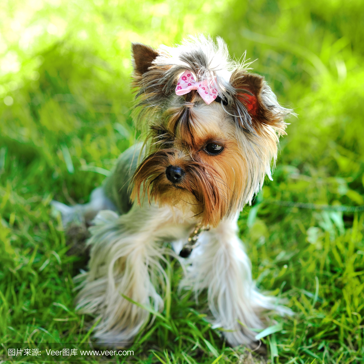 4fb8a2a143e19eb1332406c70c3a1392bcfcde33dcdd0-MR0ohZ