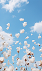 pan2020_Scattered_cotton_floating_in_the_sky_241dab29-2681-476c-aa03-8ae13988f0e5.png (848×1424)