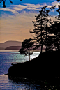 dranilj1:

Puget Sound, Washington
