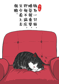 司喵采集到猫