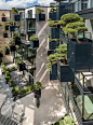 拉脱维亚“飞翔的树”公寓 - hhlloo : 将自然带回城市