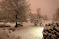 弗吉尼亞州-雪夜。 #街景#
