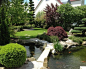 This is an example of a mid-sized asian partial sun backyard stone water fountain landscape in Nuremberg for summer.