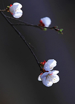 泥鳅众议院采集到花花世界