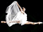 ballet dancer wallpaper - Google Search