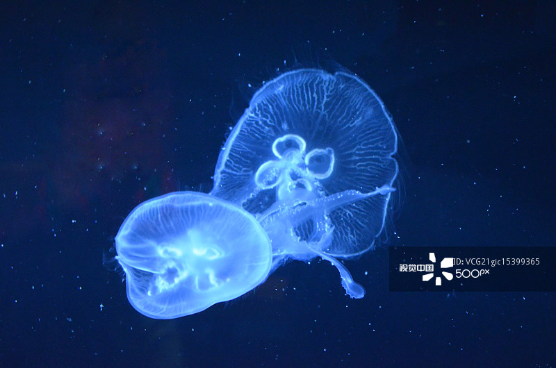 504101ba7cfabbb7a47959ab0c9fe4572c2df0ae1a59b-WvltiM