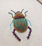 华丽的昆虫刺绣 | Humayrah Bint Altaf ​​​​
