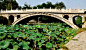 石家庄赵县城南2公里处（大石桥村附近）赵州桥 
面对这座中国最古老的石拱桥，距今1400多年历史。是当今世界上现存最早、保存最完善的古代敞肩石拱桥。赵州桥经历了10次水灾，8次战乱和多次地震，赵州桥都没有被破坏。著名桥梁专家茅以升说，先不管桥的内部结构，仅就它能够存在1400多年就说明了一切。