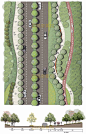 道路小清新分析图PSD素材道路景观彩平对应道路立面图ps分层素材-淘宝网