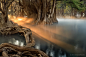 Surreal : The  mist reflects a ray of light during a  sunrise on lake Camecuaro, México<br/>Rayo de luz en la nible durante amancer en el lago de Camecuaro, Michoacan, México