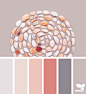 Design Seeds : Design Seeds color palettes ... posted daily for all who love color.