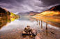 Photograph Golden Scree by Chris Miles on 500px