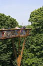 Kew Tree Top Walkway & Rhizotron  / Marks Barfield Architects