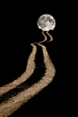 lori-rocks:

Path to full moon
