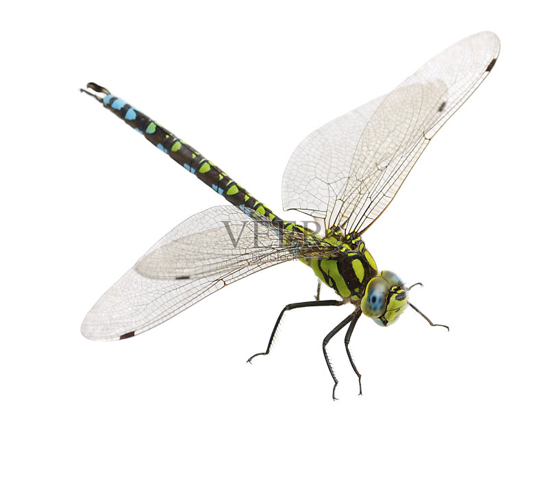 50c9c97ef0f457ebc4947b457fdca7042bde7679ec9f-ZkRgNW