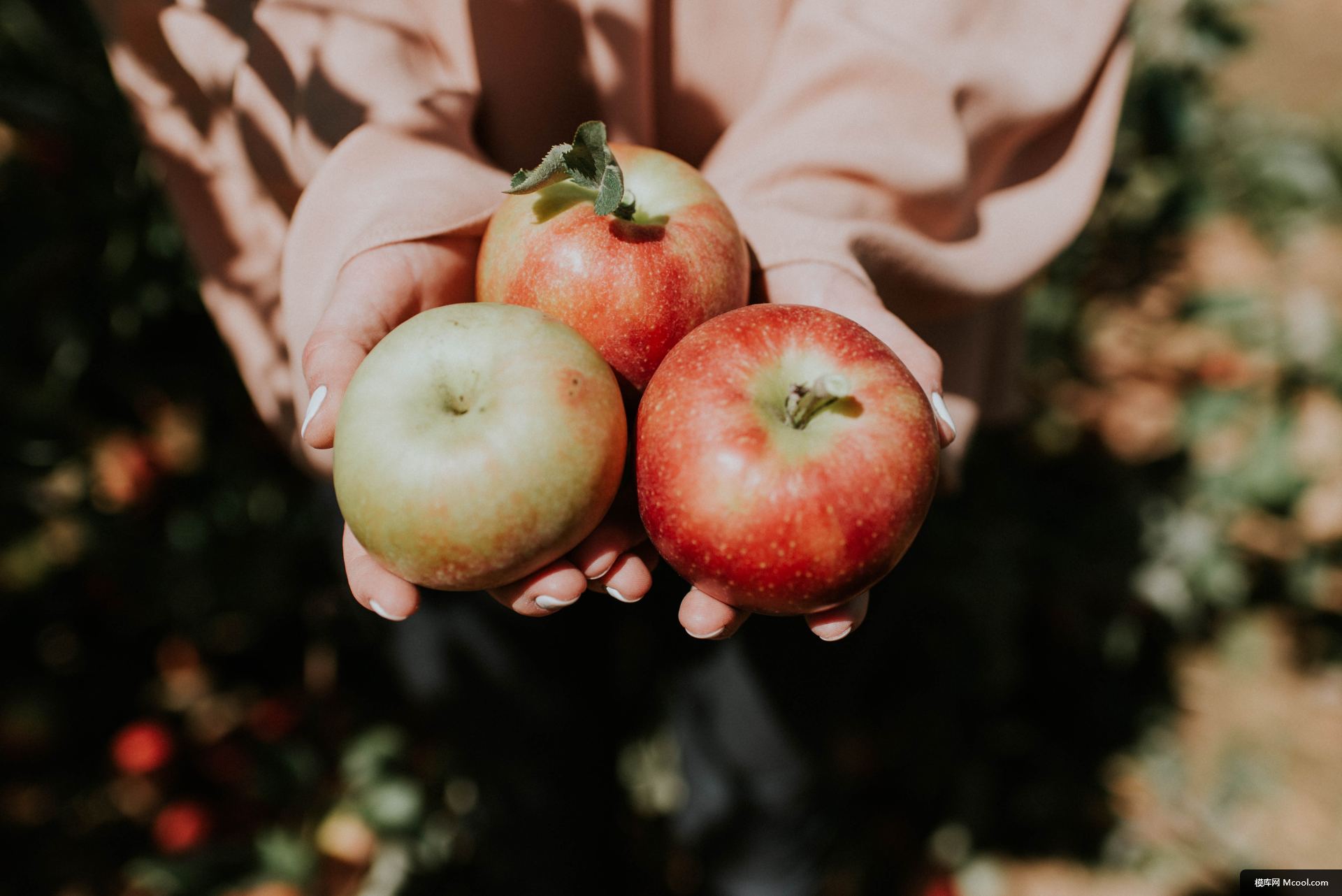 50cda1bbb6b70f4e947b7fae5d39cd2553a4cced2a325-kHxpET