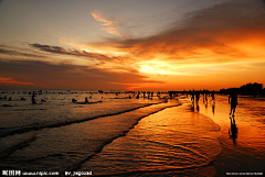 夕阳下的流沙采集到速涂