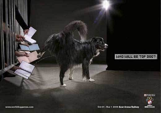 逗乐！狗狗的创意广告