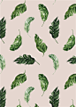 平铺奢华烫金英文字母水彩热带植物绿叶PNG免抠海报素材 (2)