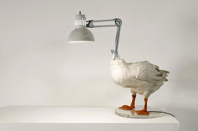 THE DUCK LAMP 2002  ...