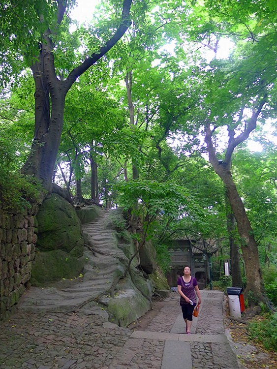 宝石山野趣及探古