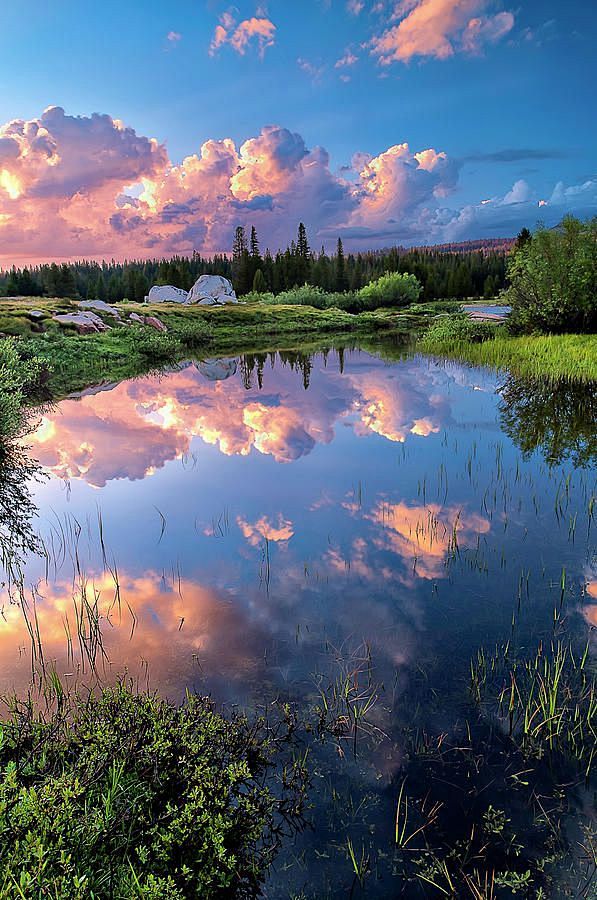 ✮ Pond in Tuolumne M...