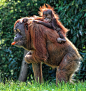 Photograph Easy Rider by Klaus Wiese on 500px