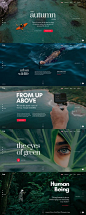 Onne is clean and modern design multipurpose PSD #template for creative #business website with 21+ niche homepage #layouts and 54 layered PSD files to live preview & download click on Visit