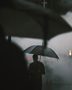 honghui采集到一蓑烟雨任平生