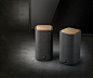 Philips Fidelio BTS7000/10 - wireless studio speakers